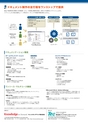 Wikiworks Lite